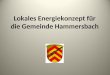 Lokales Energiekonzept für die Gemeinde Hammersbach