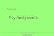 Dirk Revenstorf Universität Tübingen  kontakt@meg-tuebingen.de Psychodynamik Paartherapie