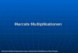 Marcels Multiplikationen Wollring: Fachdidaktische Diagnosedimensionen am Beispiel Marcels Multiplikationen (Selter & Spiegel)