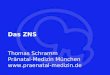 Gehirn Das ZNS Thomas Schramm Pränatal-Medizin München 