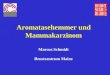 Aromatasehemmer und Mammakarzinom Marcus Schmidt Brustzentrum Mainz