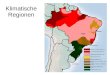 Klimatische Regionen Curitiba. Klimatische Regionen Tageszeitenklima Keine Jahreszeiten Ganzjährig hohe Temp. und Niederschläge