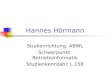 Hannes Hörmann Studienrichtung: ABWL Schwerpunkt: Betriebsinformatik Studienkennzahl: L 158