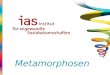 Metamorphosen. Ihre Zukunft in Beratung für Menschen und Organisationen