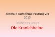Zentrale Aufnahme Prüfung ZH 2013 Sprachprüfung Deutsch Die Kranichbeine