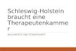 Schleswig-Holstein braucht eine Therapeutenkammer ARGUMENTE UND STANDPUNKTE