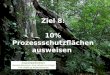 Ziel 8: 10% Prozessschutzflächen ausweisen Ansprechpartnerinnen: Veronika Braunisch, Anne Wevell von Krüger FVA, Abteilung Waldnaturschutz
