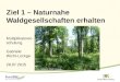 Multiplikatoren- schulung Gabriele Wicht-Lückge 28.07.2015 Ziel 1 – Naturnahe Waldgesellschaften erhalten Foto: Gabriele Wicht-Lückge