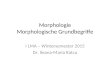 Morphologie Morphologische Grundbegriffe I LMA – Wintersemester 2015 Dr. Ileana-Maria Ratcu