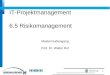 IT-Projektmanagement 6.5 Risikomanagement Masterstudiengang Prof. Dr. Walter Ruf 1