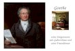 Goethe seine Zeitgenossen sein Geburtshaus und seine Freundinnen