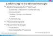 IBB - Biotechnologie und Bioprozesstechnik 1 Einführung in die Biotechnologie  Biotechnologische Prozesse – Substrate und deren Aufbereitung – Bioreaktoren
