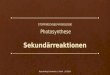 Sekundärreaktionen STOFFWECHSELPHYSIOLOGIE Photosynthese Bayernkolleg Schweinfurt | Golnik | 12/2013