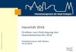 Finanzmanagement der Stadt Solingen © Stadt Solingen, Ressort 2 - Finanzmanagement Grafiken zum Einbringung des Haushaltsentwurfes 2016 Stadtkämmerer Ralf