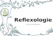 Reflexologie Die Lehre der Reflexzonen. Reflexzonen sind: Nervenpunkte in Verbindung mit bestimmten Körperstellen am ganzen Körper  Fuß  Hand  Zunge