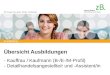 Übersicht Ausbildungen - Kauffrau / Kaufmann (B-/E-/M-Profil) - Detailhandelsangestellte/r und -Assistent/in