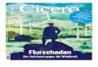 Cicero Magazin 6-2016  Flurschaden