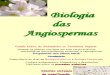 Aula 1. Biologia das Angiospermas.pdf