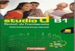 studio d B1 Unterrichtsvorbereitung interaktiv.pdf