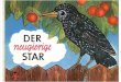 Pappbuch / Der neugierige Star / 1973