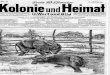 Kolonie und Heimat  / 1909/03 / 3. Jahrgang