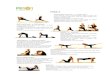 Yoga 2 - Esser