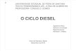 Seminário Ciclo Diesel