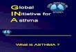 AsthmaCamp GINA
