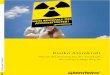 Risiko Atomkraft - Warum der Ausstieg aus der Atomkraft der einzig richtige Weg ist