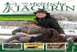 Die steirische Jägerin - Ausgabe 1 2015