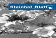 Steinhof-Blatt 1/2015
