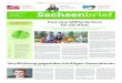 Sachsenbrief – Die politische Zeitung für Sachsen (1/2015)