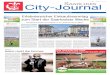 City journal saarlouis 27 05 2015