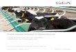 Dairyfarming tier und stalltechnik 2014 brosch%c3%bcre 0415 tcm11 23184
