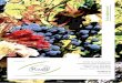 Wein & Spirituosen Katalog_2015 /2016 für Fachgeschäft