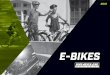 WHEELER E-Bikes 2016