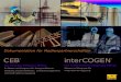 CEB & interCOGEN16 - Dokumentation für Medienpartnerschaften