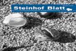 Steinhof-Blatt 3/15