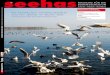 Seehas-Magazin Dezember 2015 Januar 2016