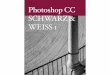 Adobe Photoshop SchwarzWeiß1