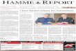 Hamme Report vom 16.03.2016