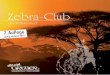 Zebra Club - 7. Auflage