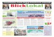 BlickLokal Wertheim KW 25 2016[1]