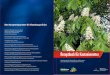 Rezeptbuch für Kastanienretter (Broschüre, 2009) »(PDF, 4,8 MB)