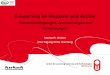 E-Learning im Museum und Archiv - Rahmenbedingungen, Anforderungen und Anwendungen