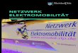 Netzwerk Elektromobilität - Forschungsergebnisse