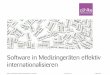 Software in Medizingeräten effektiv internationalisieren  (MedConf 2015)