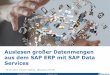 Auslesen großer Datenmengen aus dem SAP ERP mit SAP Data Services (Level 2)