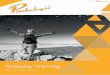 Pitchologie Roleplay Training: Pitch kurz  (Flyer Q4-2016)