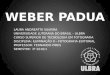 Weber Padua